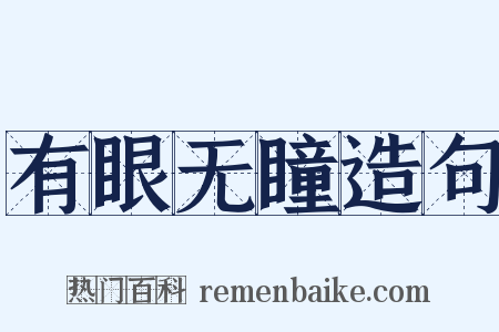 有眼无瞳造句是什么意思的图片